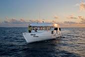 Dhoni<br>© Carpe Diem Maldives
