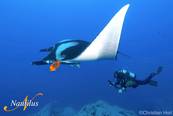 <br>© Nautilus Explorer