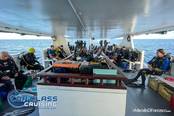 <br>© Top Class Diving