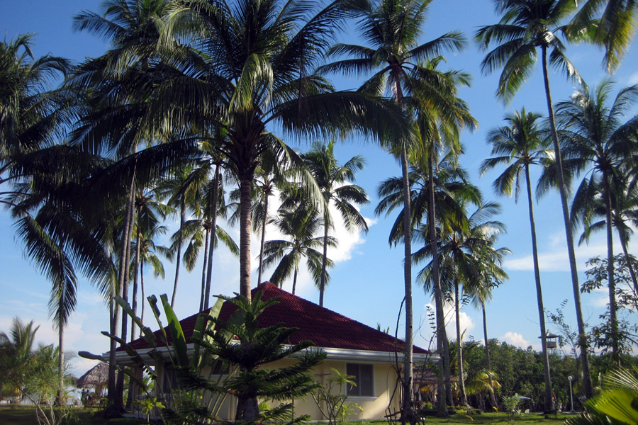 Whispering Palms Island Resort