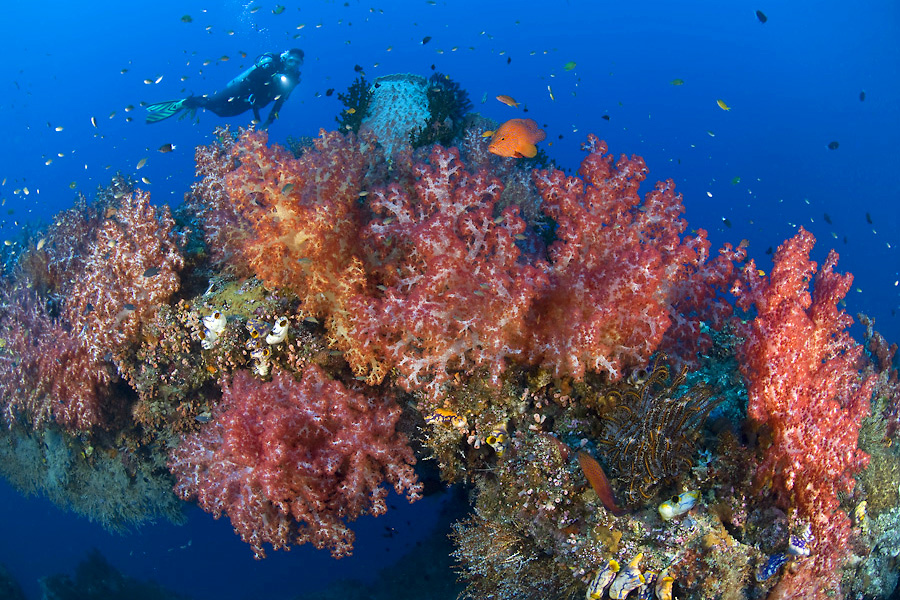 © Jürgen Freund