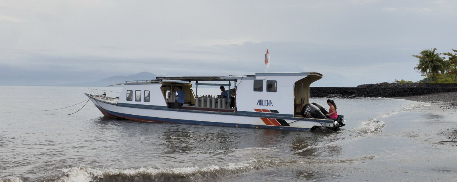 Murex Dive Resort