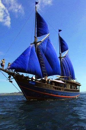 Moana am Segeln