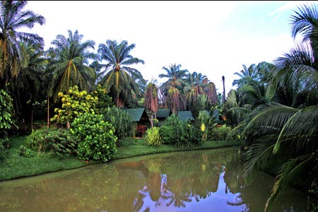 Blick auf die Bungalows
