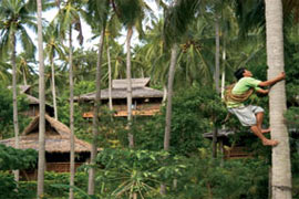 Coco Beach Resort