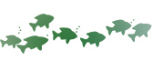 Carp Island Resort