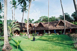Alona Tropical