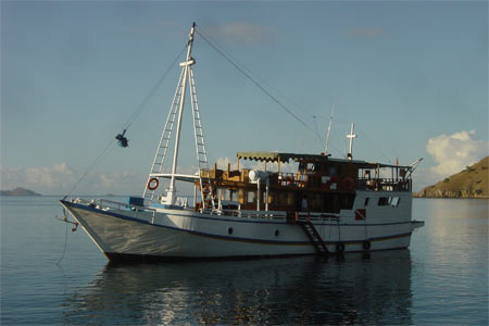 Tarata