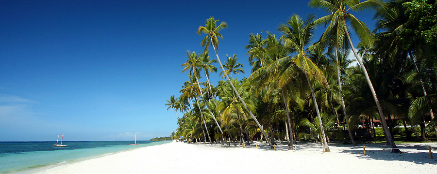 Alona Palm Beach