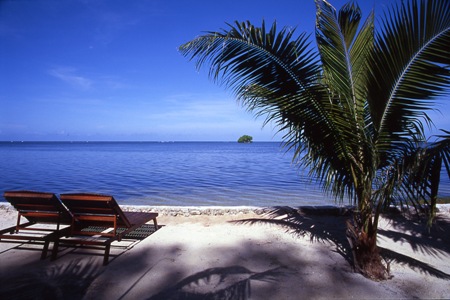 Dolphin Bay Resort