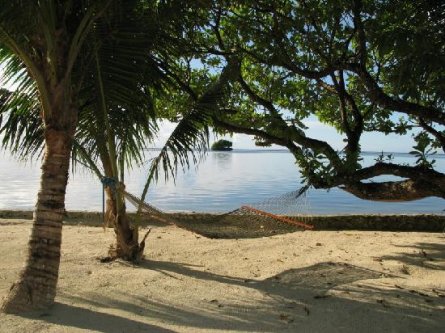 Dolphin Bay Resort