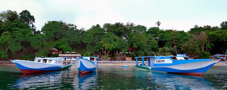 Froggies Divers Bungalows Bunaken