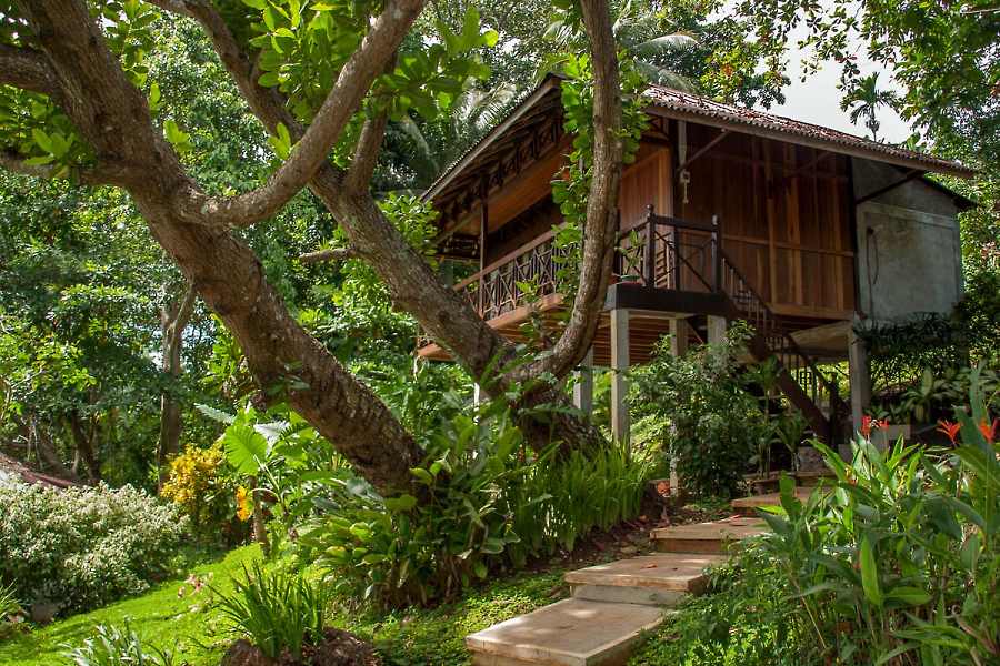 Froggies Divers Bungalows Bunaken