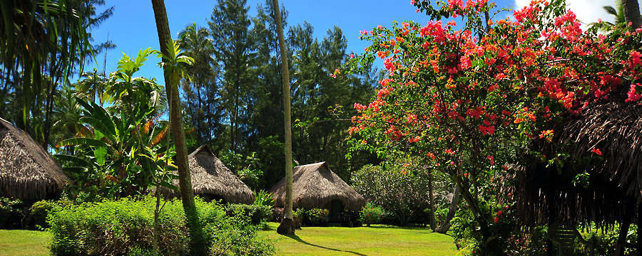 Hibiscus Hotel Moorea