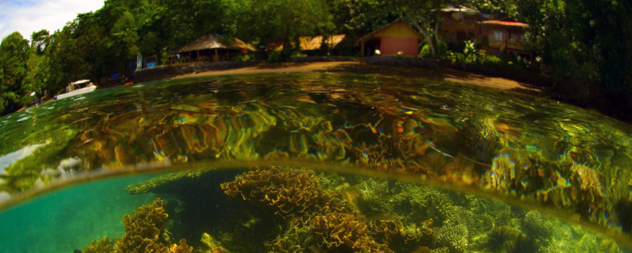 Nad Lembeh Resort