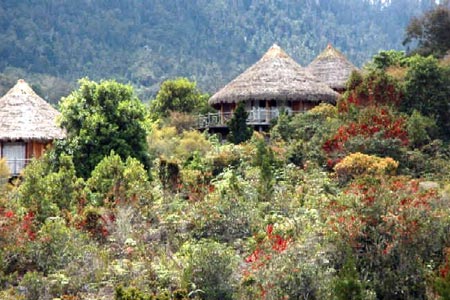 Baliem Valley Resort