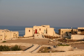 The Oasis