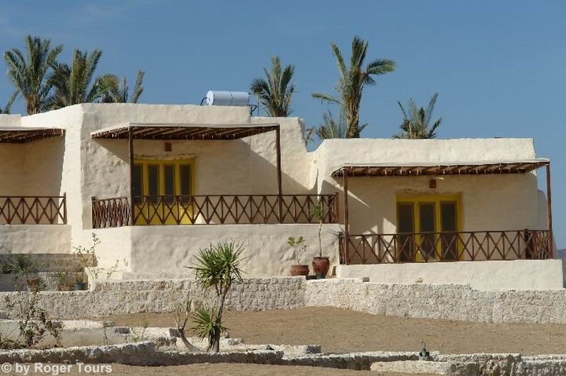The Oasis