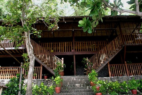 Club Ocellaris