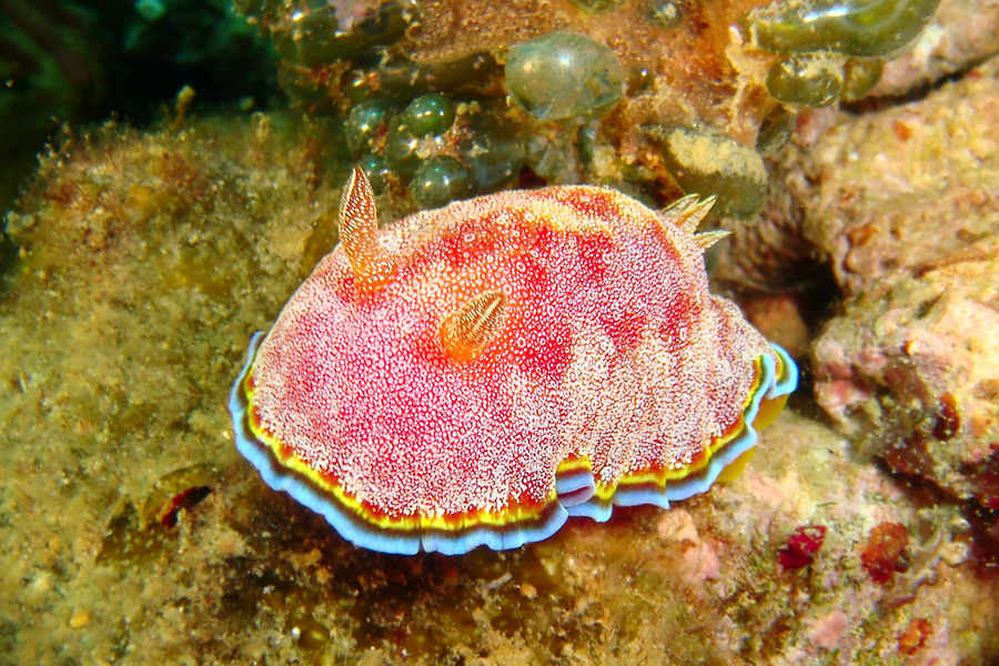 Takatuka Lodge and Dive Resort
