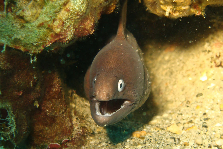 Takatuka Lodge and Dive Resort