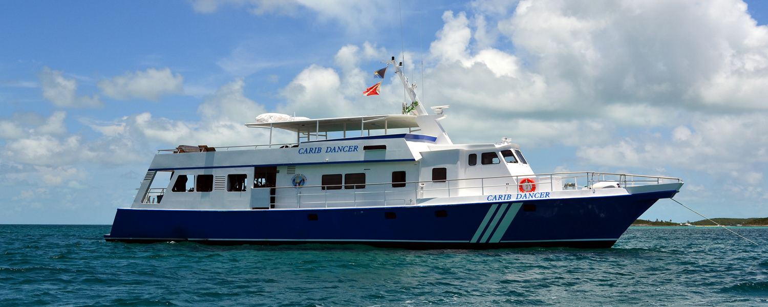 Tauchkreuzfahrtschiff Carib Dancer
