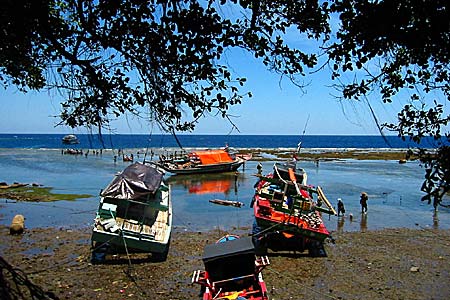 Fischerboote