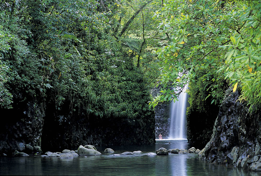 Taveuni Hotels