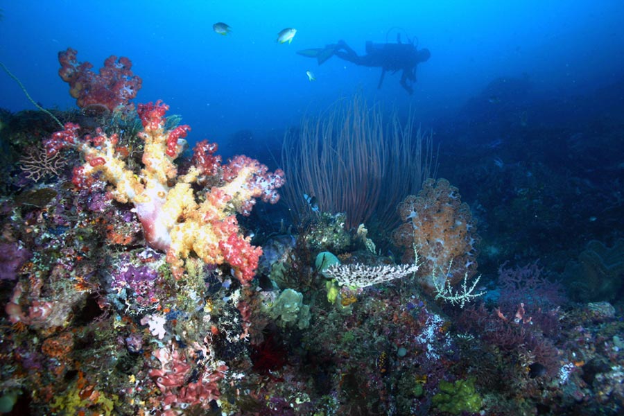 © Ministry of Culture and Tourism Republic of Indonesia