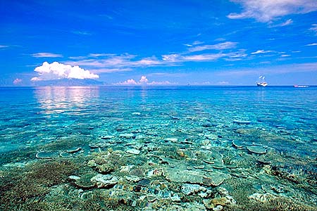 Thalassa Dive Resort