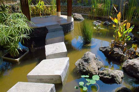 Spa