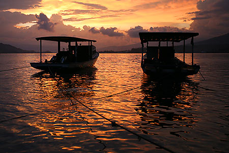 critters@lembeh
