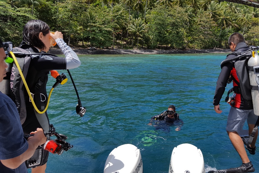 Dive into Lembeh