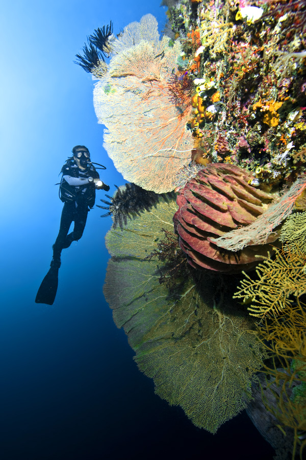 Misool Eco Resort Dive Centre