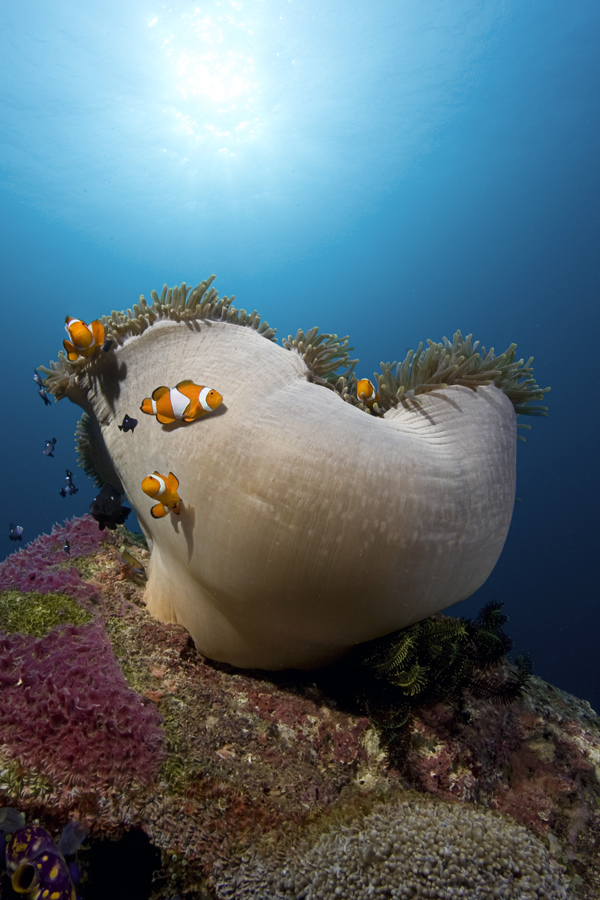 Misool Eco Resort Dive Centre