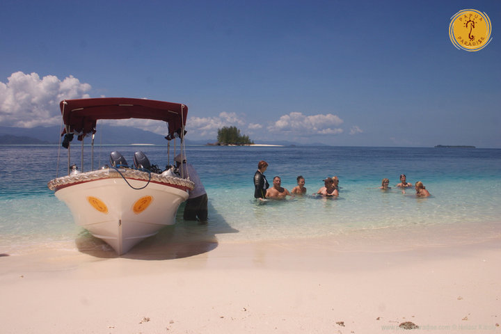 Papua Paradise Dive Center
