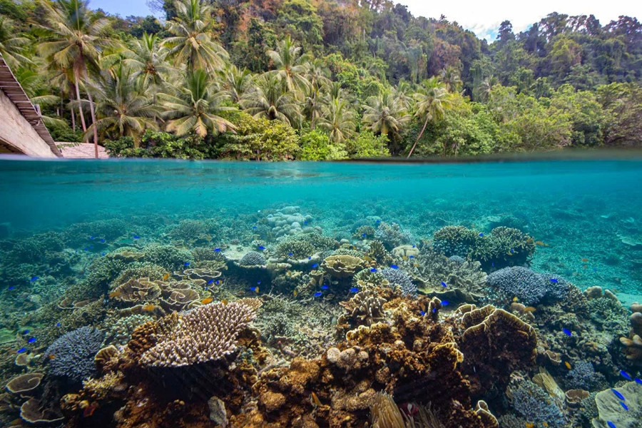 Sali Bay Resort
