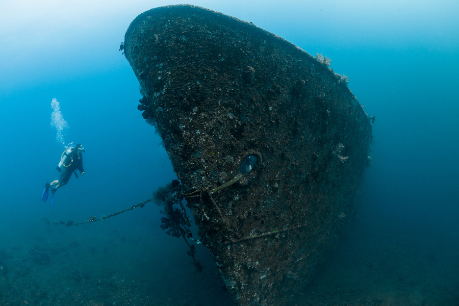 Siddhartha Dive Center