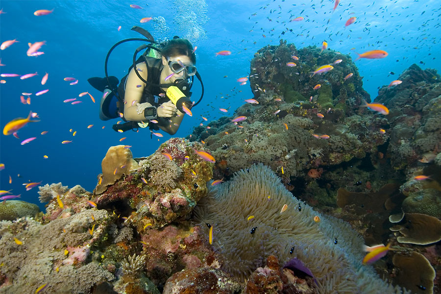 © Manta Ray Bay Resort & Yap Divers