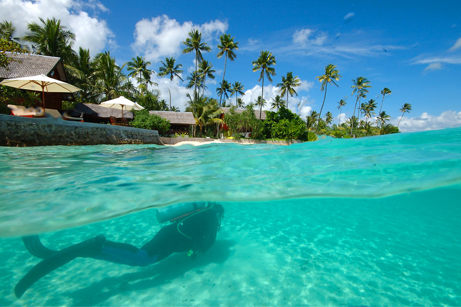Wakatobi Dive Center