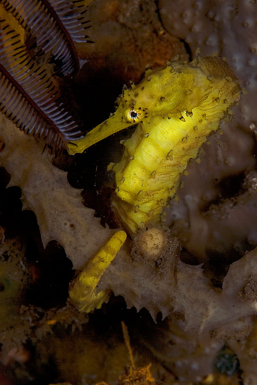Atmosphere Dive Center