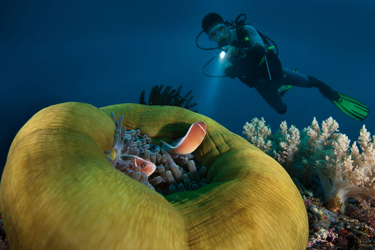 Atmosphere Dive Center