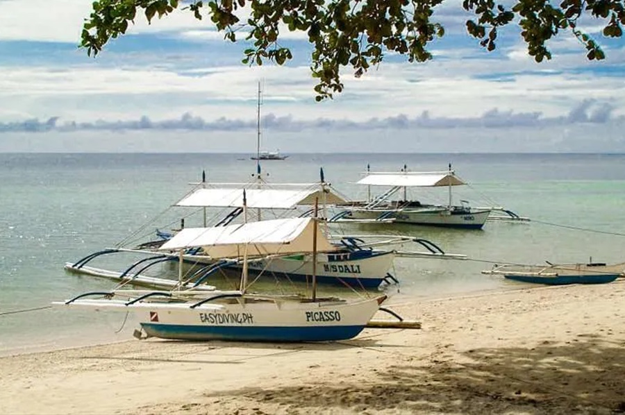 Easy Diving Sipalay