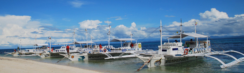 Malapascua Exotic Divers