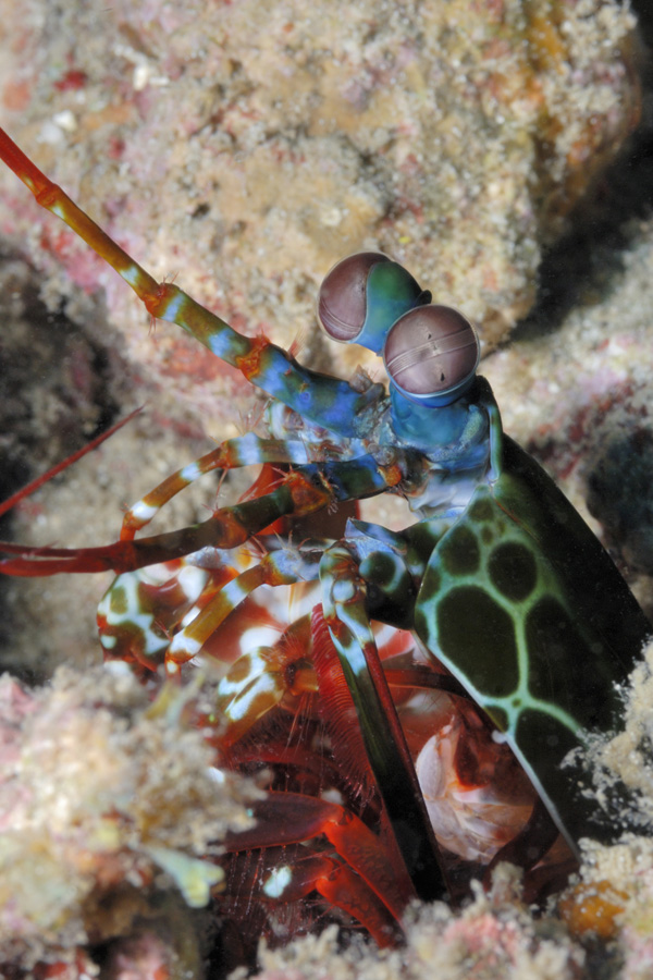 Polaris Dive Center