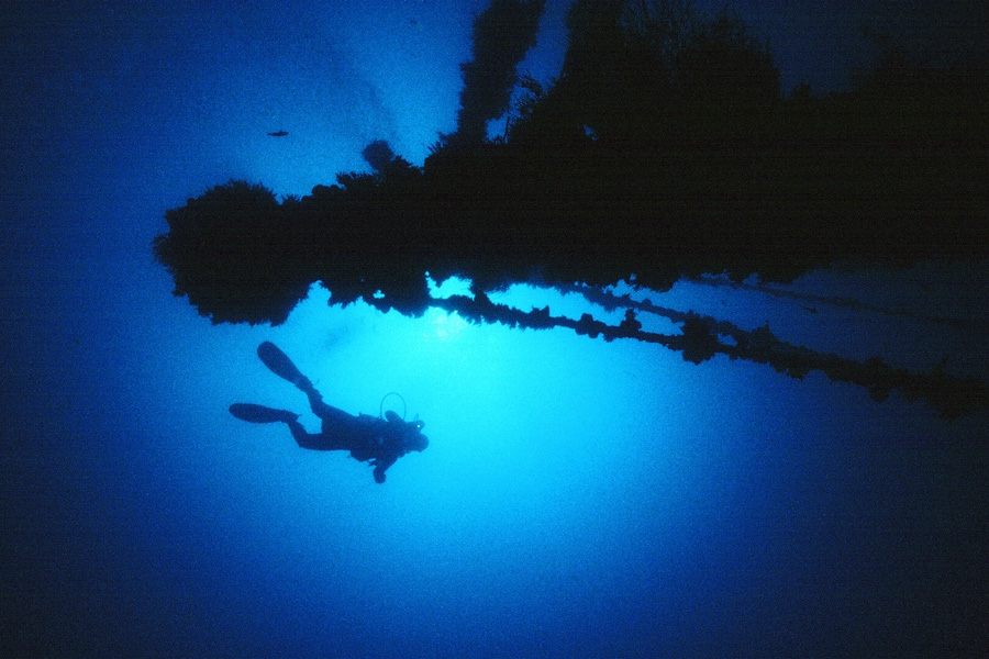 Dona Marilyn© Sea Explorers