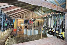 Lissenung Diving