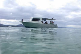 Walindi Dive Resort