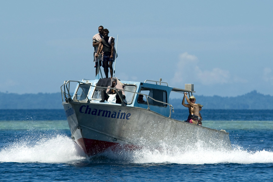 Walindi Dive Resort