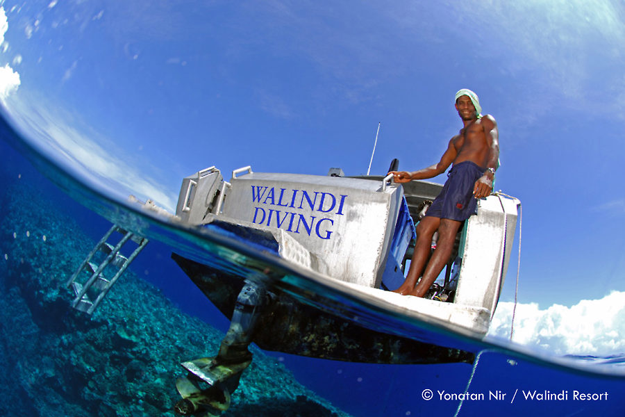 Walindi Dive Resort